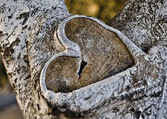 Bag enhver knast i livet