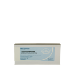 Organum Quadroplex ampuller