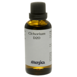 Cichorium D20
