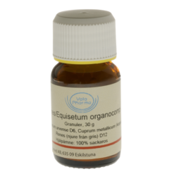 Renes/Equisetum organocomp