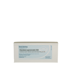 Glandula suprarenalis D30, ampul