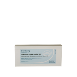 Glandula suprarenalis D6, ampul