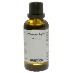 Mesenchym comp.