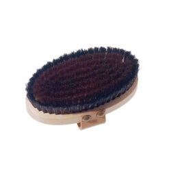 Ion Tørbørste krop