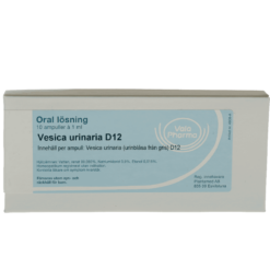 Vesica-Urinaria-D12