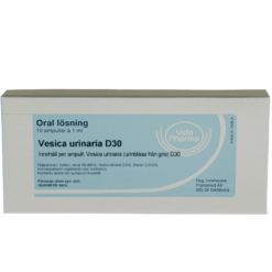 Vesica-urinaria-D30