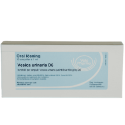 Vesica-urinaria-D6-ampul