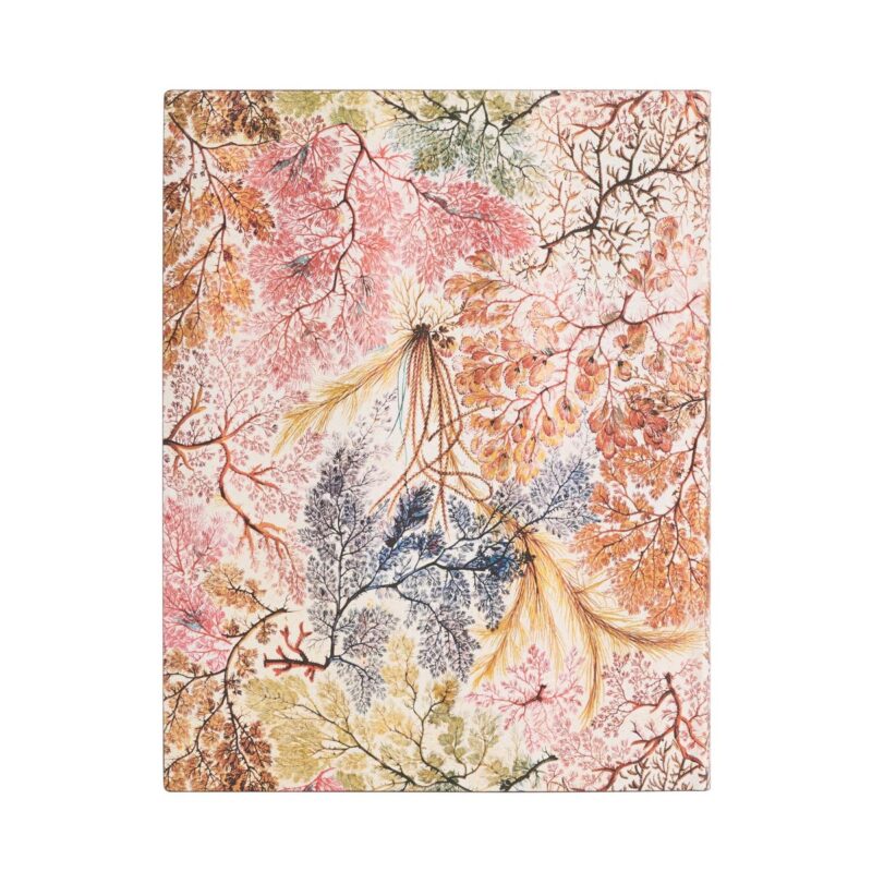 Anemone 18 måneders kalender 2023-2024