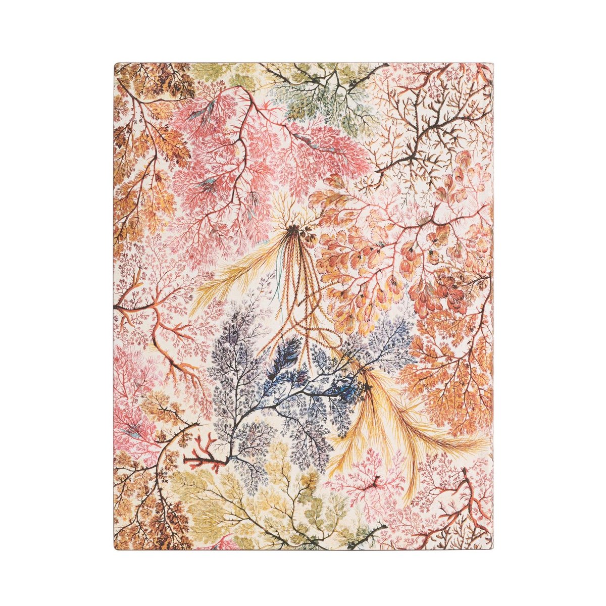 Anemone 18 måneders kalender 2023-2024