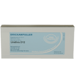 Urethra ampuller D12